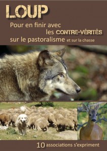 Loup, pour en finir avec les contre vérités sur le pastoralisme et la chasse